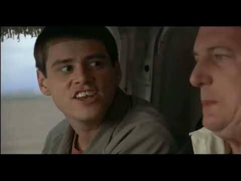 Dos tontos muy tontos juego