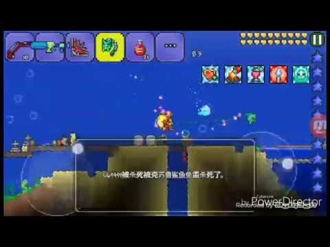 Terraria屌打豬鯊#