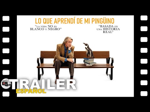 Tráiler en español de Lo que aprendí de mi pingüino