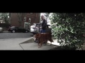 Walk Around The Block