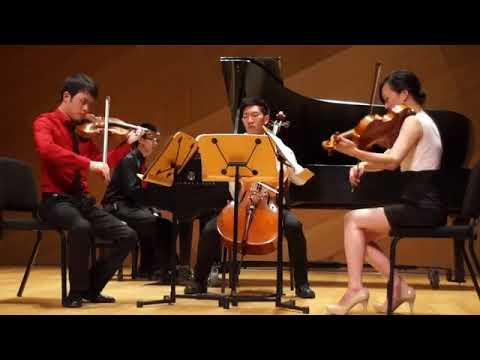 Promotional video thumbnail 1 for Symphony 9 Ensemble