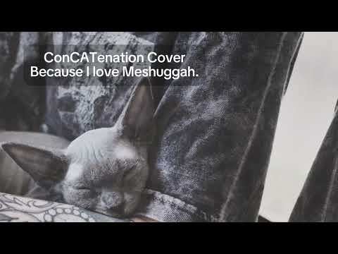 Concatenation by Meshuggah (Cover)