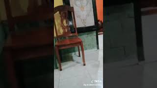 Download lagu arema vs bonek. kocak mp3