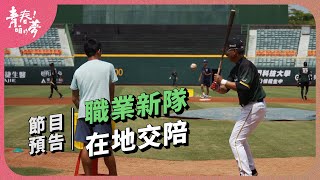 [分享] 青春咱的夢-台鋼雄鷹