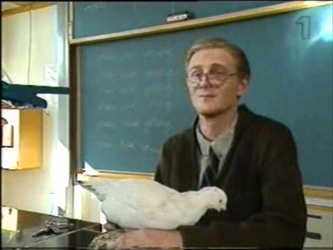 Varan TV ''En riktig spellevink''