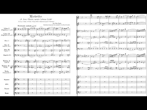 Bohemian Baroque