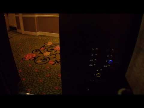 Dover HIGHdraulic Elevators Mod. by ThyssenKrupp | Bank G1 | Gaylord Opryland – Nashville, TN