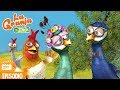 El Pavo y La Pava - se van a casar - La Granja de Zenón - Episodio 8