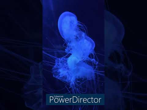 Felix Kröcher in the mix @ SSL Radio Sunshine Live - DJ's After Work - Hardgroove Schranz 2025