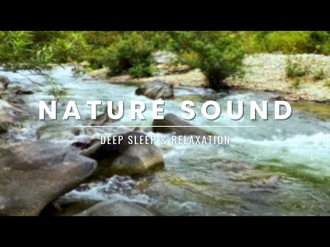 Nature Sound with Birds Singing - Piano Music Soothing by Enda Official
