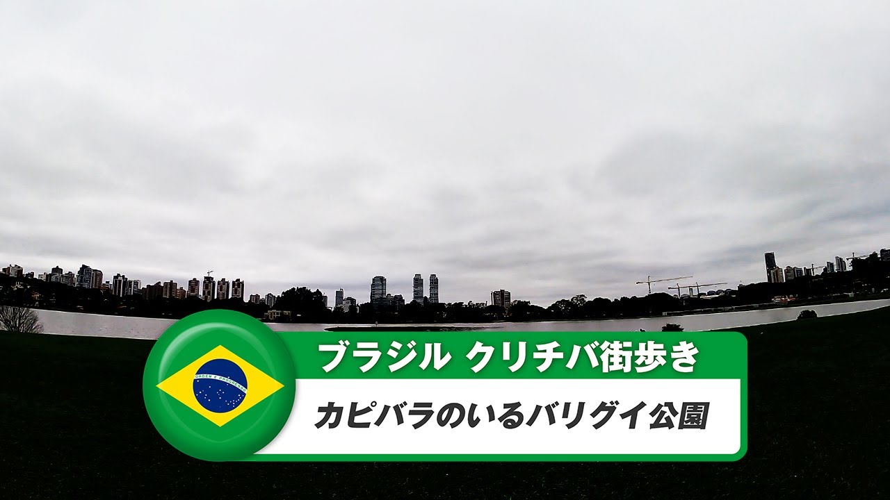 【ブラジル】クリチバ⑪バリグイ公園
