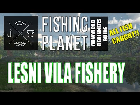 The Complete Fishing Planet Beginners Guide - Episode 14 - Lesni Vila Fishery