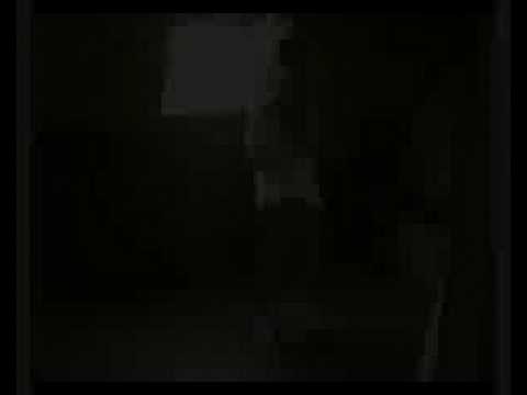 vibeteam , christof coopman , cliff muller , catdelunacontes