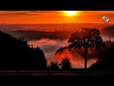 Modestyno feat. Tamsaulė - Palšus Ganiau Jautelius