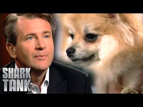 Cornucopia Express Shark Tank Pitch