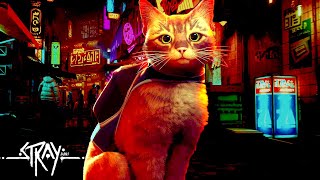 SNSで今話題の「迷子の猫」になってサイバーパンク都市を冒険するゲーム - Stray Part1