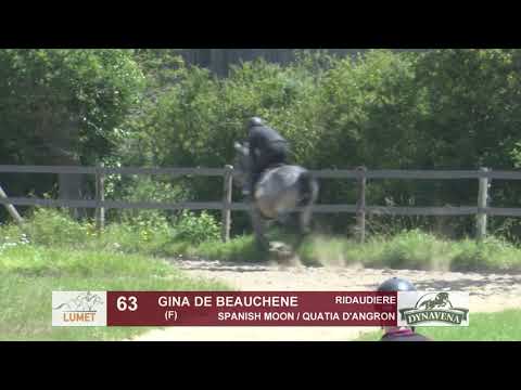 Show Lumet 2019 : Lot 63 - GINA DE BEAUCHENE