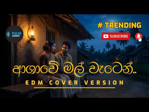 ASHAWE MAL WATEN | ආශාවේ මල් වැටෙන් | EDM COVER