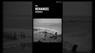 Download lagu detik detik pesawat lion jatuh😞😔😢😭 mp3