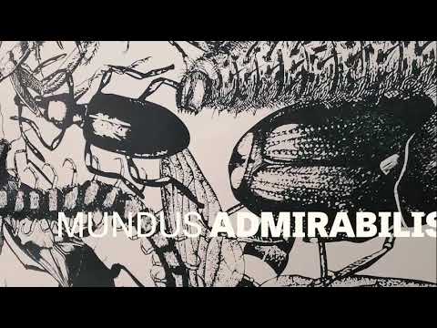 BIENALSUR - The National Museum - Riyadh, Saudi Arabia