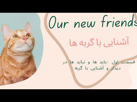 باید ها 🤗و نباید ها 🫢در آشنایی و دیدار با گربه ها (قسمت اول)