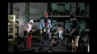 Trailer D'BIJIS Indonesia