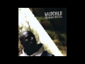 Wildchild - The Movement Pt. 2