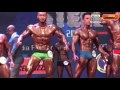 Men of Steel 2016 Highlights