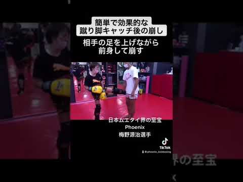 【簡単・効果的】相手の蹴りをキャッチした後の崩し_梅野源治選手解説