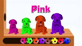 Learn Colors With Dogs  Learn Colors with Animals   Rainbow Animals Kids Education
