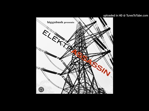 BiggaBush Presents Elektrassassin - Cymbolic