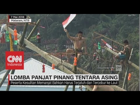Seru! Tentara Asing Ikut Lomba Panjat Pinang