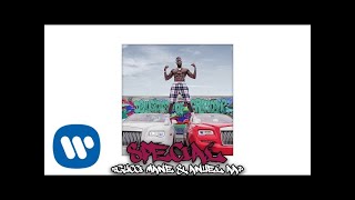 Gucci Mane & Anuel AA - Special (Official Audio)