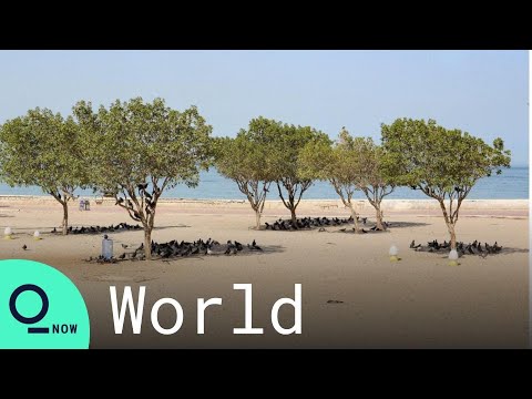 Kuwait City Becomes One of the Hottest in the World as it Hits 122°F (50°C)