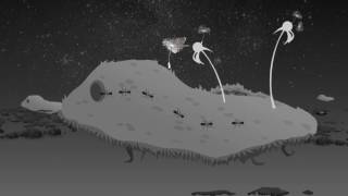 Podington Bear - Golden Hour