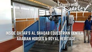 Inside Qatar’s Al Shaqab Equestrian Center | Arabian Horses & Royal Heritage