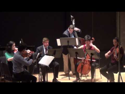 Daniel Wolff: Concerto for Clarinet & String Ochestra, 2nd movement (arrangement)