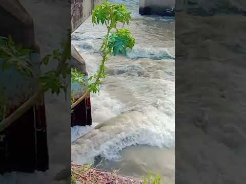 Abadabad dryaey kanr