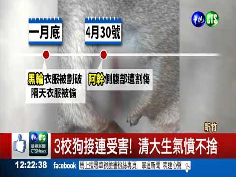 清大3校狗"遇刺" 校方報警緝凶