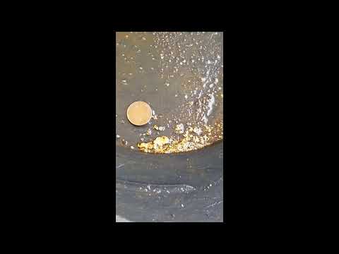 3 grams of gold guaranteed Paydirt Concentrates - Goldbay