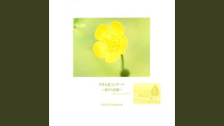 Asagao no hana no yoni