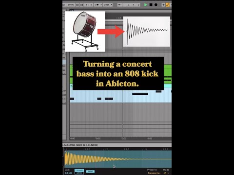 Can you turn a concert bass drum into an 808? #shorts