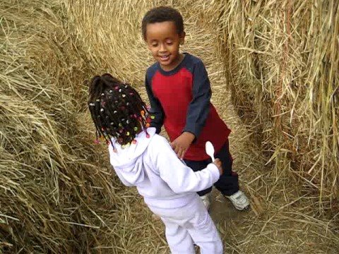 hay bale maze