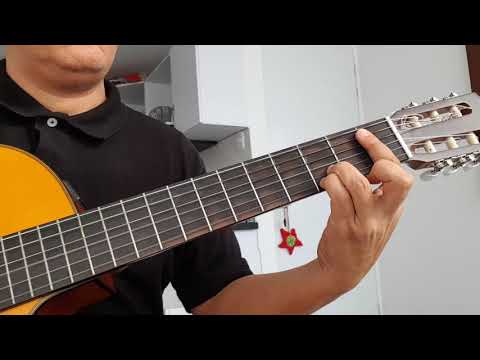 Armadillo - Andrés Cepeda