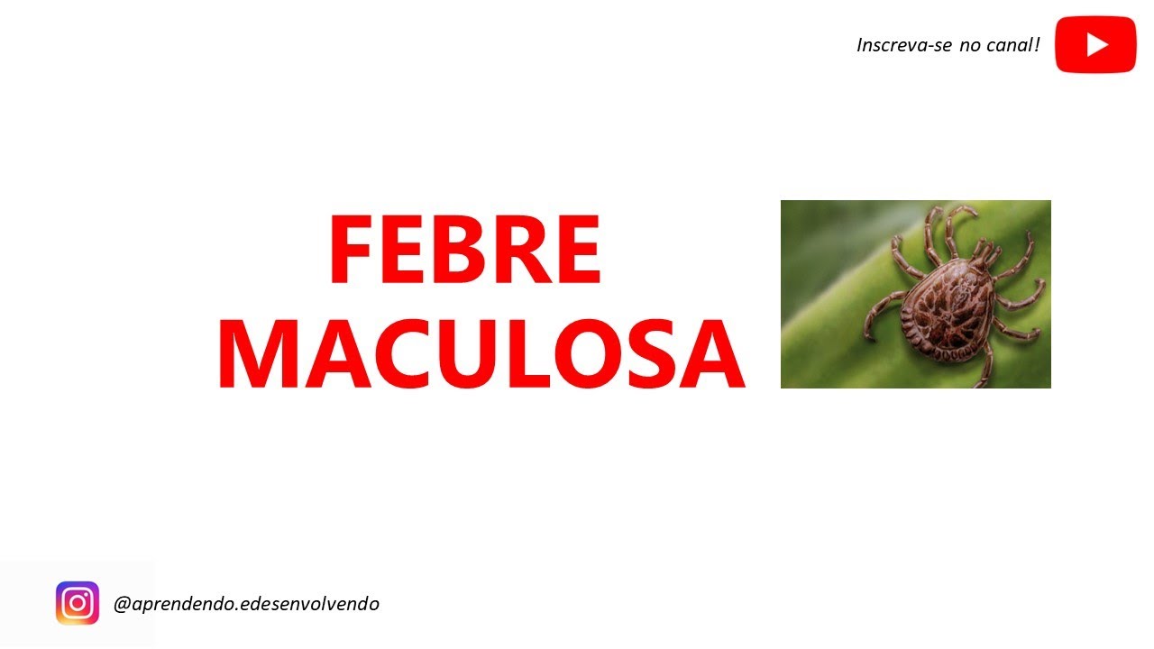 Febre Maculosa - Tudo o que você precisa saber - sintomas, tratamento e prevenção