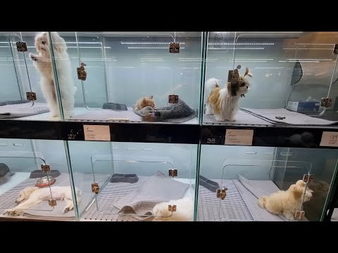 Pet Store Gardendale