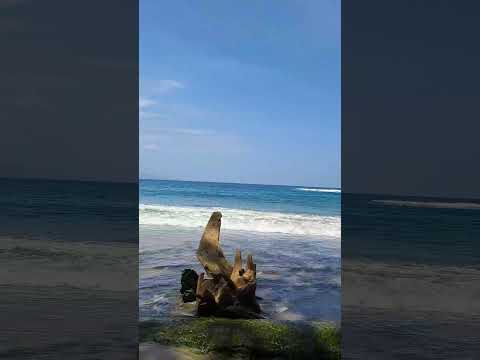 Punta Uva, Limón Costa Rica