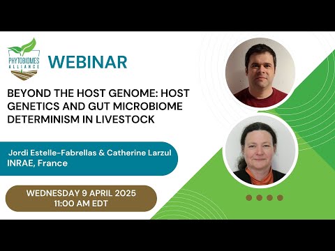 Beyond the host genome: host genetics and gut microbiome determinism in livestock