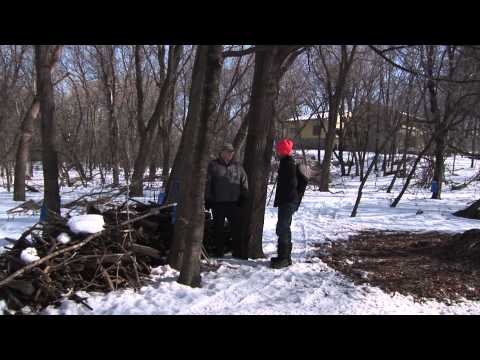 Maple Syrup - The Perennial Plate Episode 5