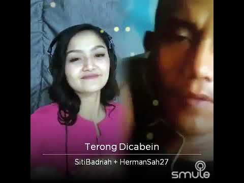 Terong di cabein siti badriah  D Hermansah27